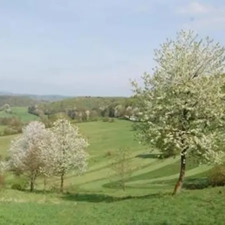In Rothhelmshausen Mit Grill, Terrasse Und Garten Holiday home