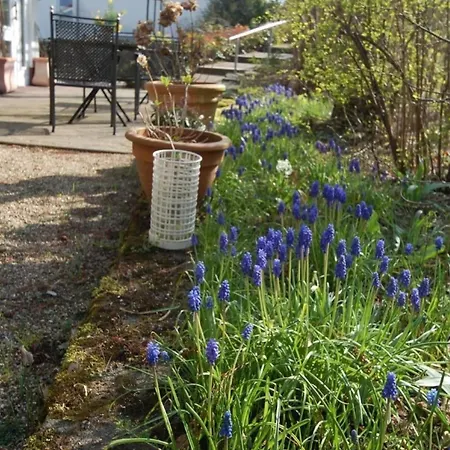In Rothhelmshausen Mit Grill, Terrasse Und Garten Holiday home