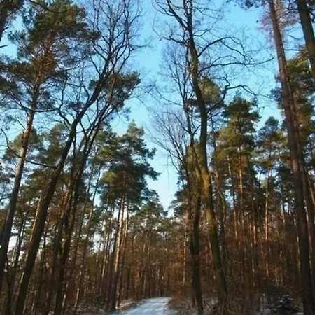 Holiday home In Rothhelmshausen Mit Grill, Terrasse Und Garten *